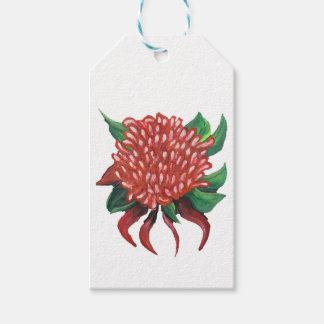 Blume Handgezeichnete Waratah-Aufkleber Geschenkanhänger