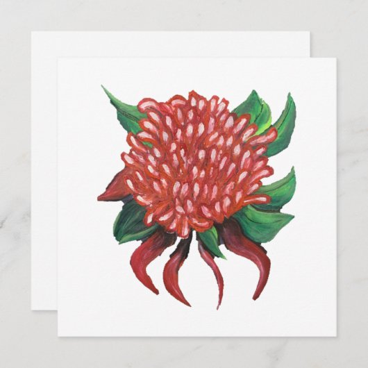 Blume Handgezeichnete Waratah Einladung (Vorne/Hinten)