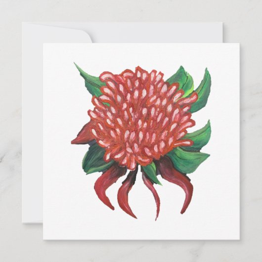 Blume Handgezeichnete Waratah Einladung (Vorderseite)