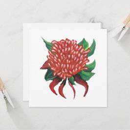 Blume Handgezeichnete Waratah Einladung