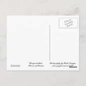 Blume Hawaiis Postkarte (Rückseite)