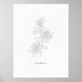 Blume Hawthorn Art Print Poster (Vorne)