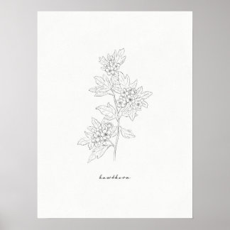 Blume Hawthorn Art Print Poster