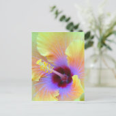 Blume Hibiskus Mesmerisieren Fotografie Postkarte (Stehend Vorderseite)