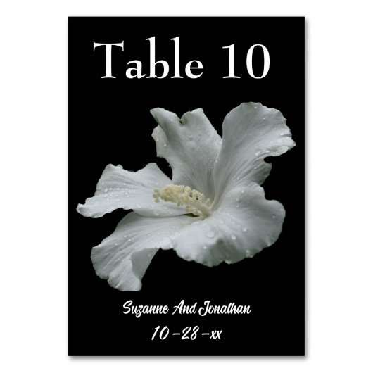 Blume-Hochzeit mit weißem Hibiskus Tischnummer (Rückseite)