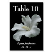 Blume-Hochzeit mit weißem Hibiskus Tischnummer (Vorderseite)