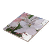 Blume Hochzeitslilie Liebe Fliese (Seite)