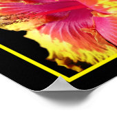 Blume hübscher Hibisken Nah Abstrakt Poster (Ecke)