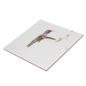 Blume Hummingvogel und Single Fliese (Seite)