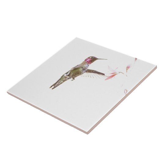Blume Hummingvogel und Single Fliese (Seite)