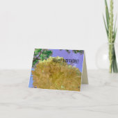 Blume Hydrangea Gelb hübscher BURTTAG Karte (Vorderseite)