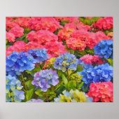 Blume Hydrangea Wasserfarben Art Poster (Vorne)