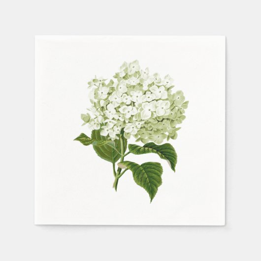 Blume Hydrangea (Weiß und Blassgrün) Serviette (Vorderseite)