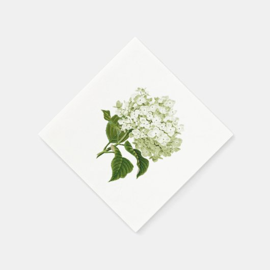Blume Hydrangea (Weiß und Blassgrün) Serviette (Ecke)