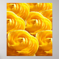 BLUME I