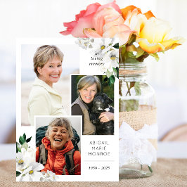 Blume im Bereich Galerie Programm