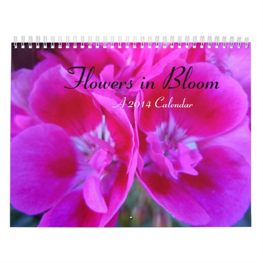 Blume im Bloom 2014 Kalender (Titelbild)