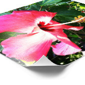 Blume im Blütenrosa Fotodruck (Ecke)