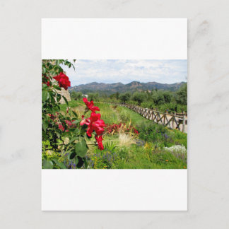 Blume im Castello di Amorosa Postkarte