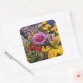 Blume im Dezember 2005 Quadratischer Aufkleber (Umschlag)