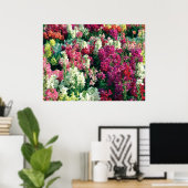 Blume im farbenfrohen Garten Poster (Heimbüro)