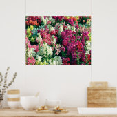Blume im farbenfrohen Garten Poster (Küche)