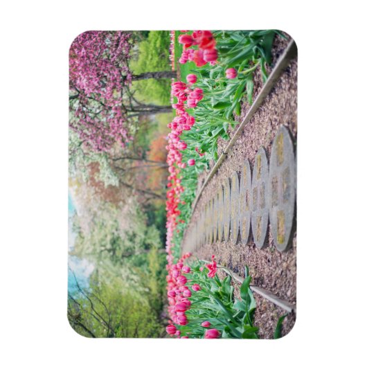 Blume im Freien Spazio -1 Magnet (Vertikal)