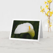 Blume im Frühjahr: Blanke Grußkarte Karte (Gelbe Blume)