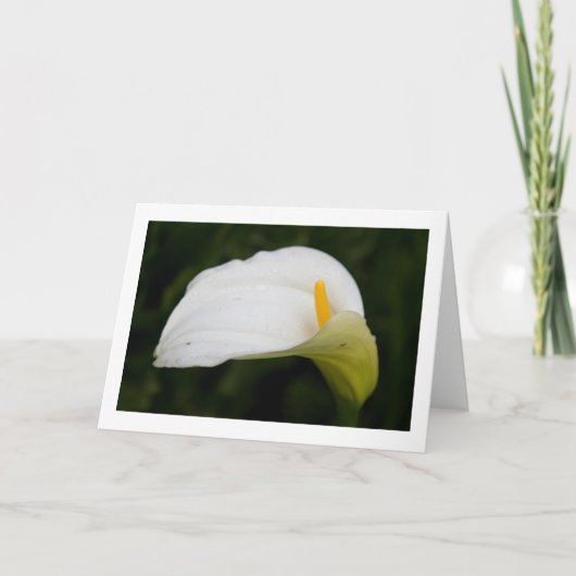 Blume im Frühjahr: Blanke Grußkarte Karte (Vorderseite)