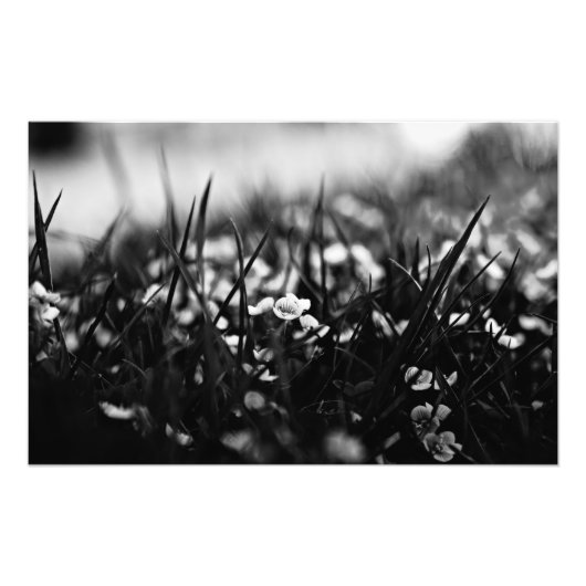 Blume im Frühjahr Fotodruck (Vorne)