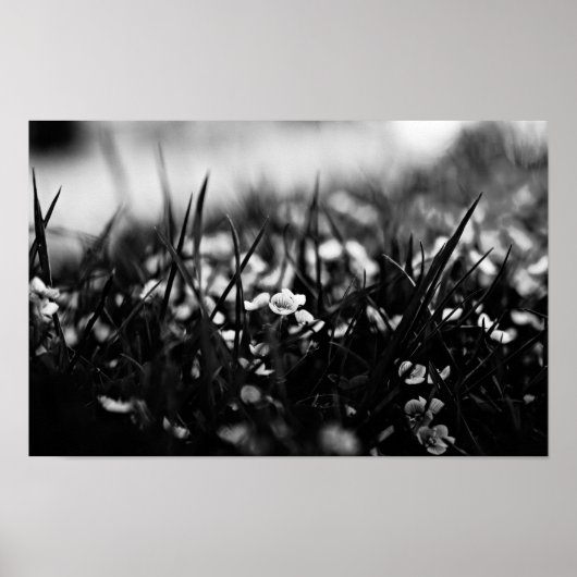 Blume im Frühjahr Poster (Vorne)