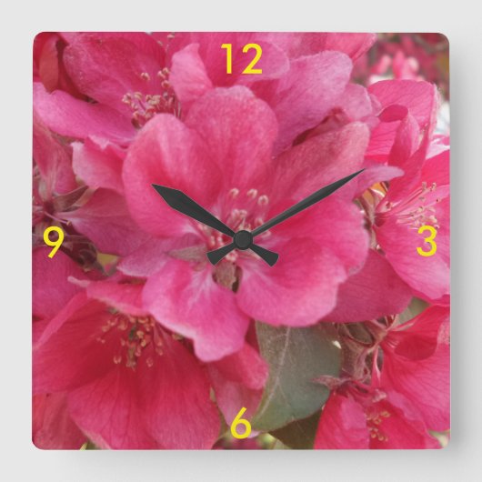 Blume im Frühjahr Quadratische Wanduhr (Vorderseite)