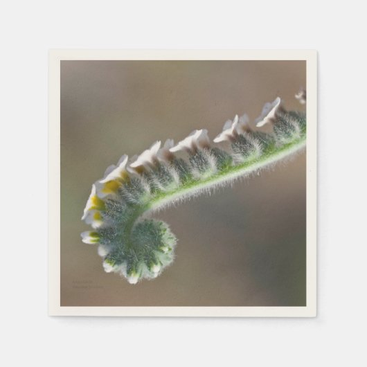 Blume im Frühjahr Serviette (Vorderseite)