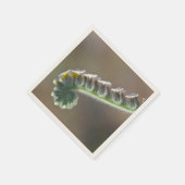 Blume im Frühjahr Serviette (Ecke)