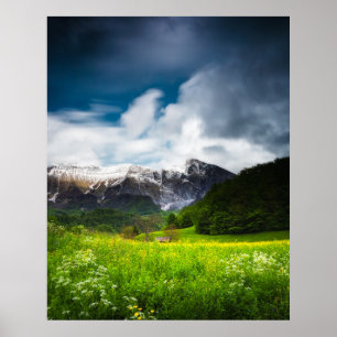 Blume im Frühjahr unter dem Berg Krn Poster