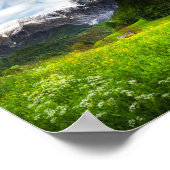 Blume im Frühjahr unter dem Berg Krn Poster (Ecke)