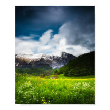 Blume im Frühjahr unter dem Berg Krn