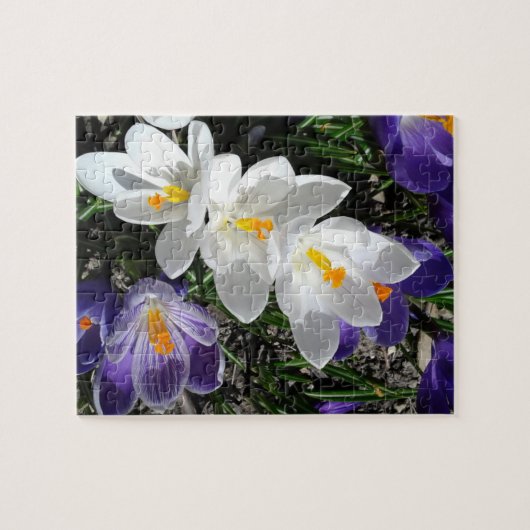 Blume im Frühling Puzzle (Horizontal)