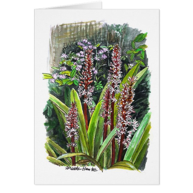 Blume im Garten (Vorne)