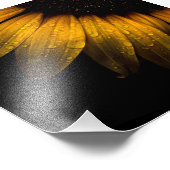 Blume im Garten 28 Sonnenblumen Fotodruck (Ecke)