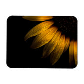 Blume im Garten 28 Sonnenblumen Magnet (Horizontal)