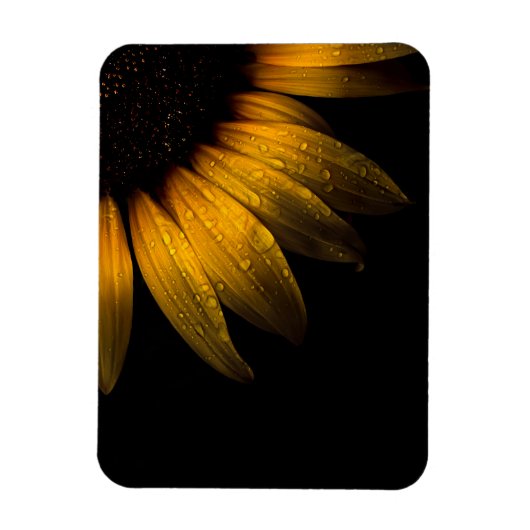 Blume im Garten 28 Sonnenblumen Magnet (Vertikal)
