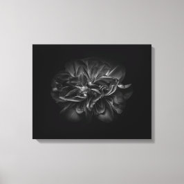 Blume im Garten in Schwarz und Weiß 67 Leinwanddruck