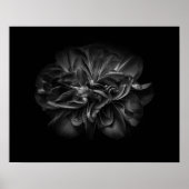 Blume im Garten in Schwarz und Weiß 67 Poster (Vorne)