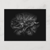 Blume im Garten in Schwarz und Weiß 67 Postkarte (Vorderseite)