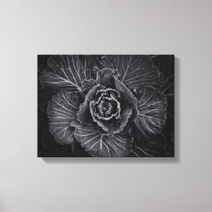 Blume im Garten in Schwarz und Weiß Nr. 108 Leinwanddruck