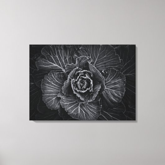 Blume im Garten in Schwarz und Weiß Nr. 108 Leinwanddruck (Vorderseite)