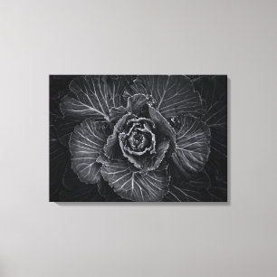 Blume im Garten in Schwarz und Weiß Nr. 108 Leinwanddruck