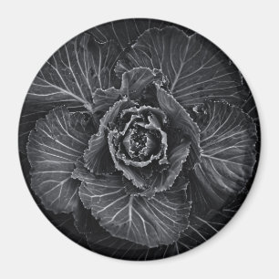 Blume im Garten in Schwarz und Weiß Nr. 108 Magnet