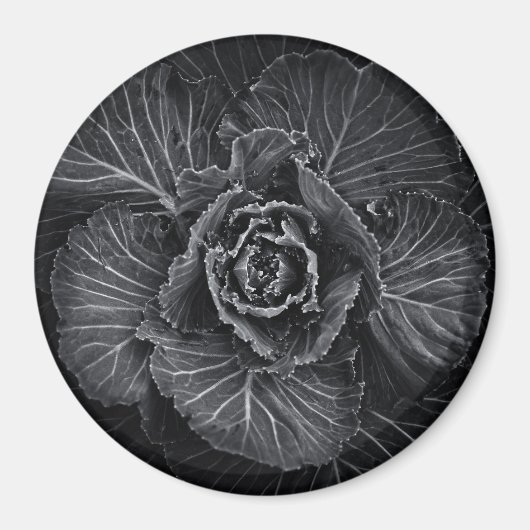 Blume im Garten in Schwarz und Weiß Nr. 108 Magnet (Vorne)